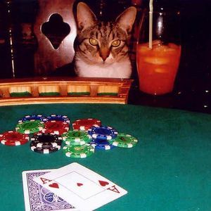 Meet your Posher, Scott